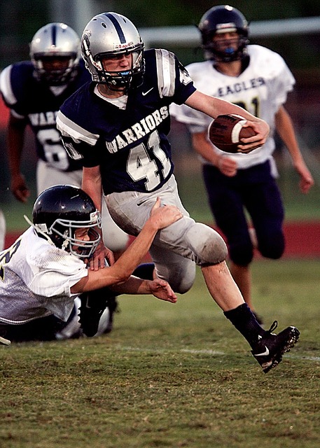 奥在冬窗离 奥在冬窗离