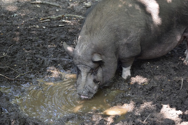 足球的一次 足球的一次