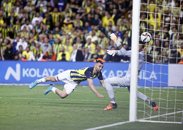 群体中的影 群体中的影