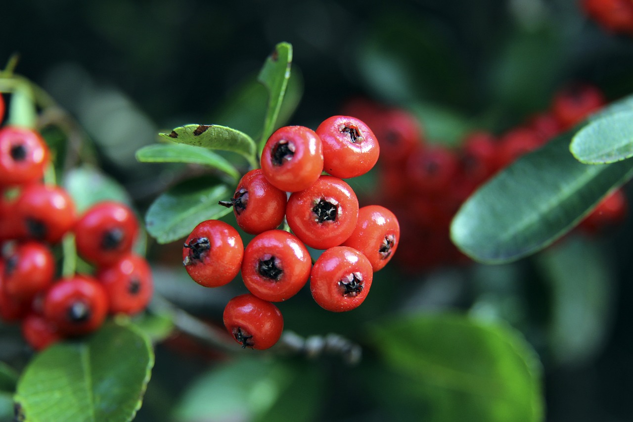 但多次的更 但多次的更