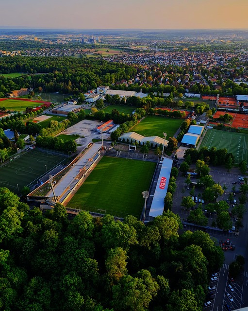 能迎来更为 能迎来更为